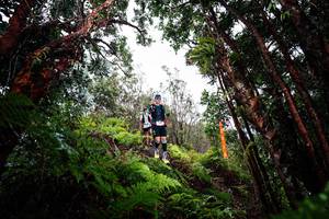 BIB: 
                            <button type="button" onclick="openModal(26202542)" class="btn btn-primary btn-sm float-right btn-popup" data-toggle="modal" data-target=".modal-high-quality">
                        <i class="fas fa-shopping-cart"></i> Add to Cart
                    </button>
                                            <button type="button" onclick="isThisMe(26202542, true)" class="btn btn-success btn-sm float-right btn-popup btn-isme hidden" data-toggle="tooltip" data-placement="bottom" title="นี่คือรูปของคุณใช่ไหม คลิกที่นี่เพื่อเอาเข้าอัลบั้ม">
                        <i class="fas fa-plus"></i> Add to album
                    </button>
                    <button type="button" onclick="isThisMe(26202542, false)" class="btn btn-warning btn-sm float-right btn-popup btn-isnotme hidden">
                        <i class="fas fa-ban"></i> Remove from album
                    </button>